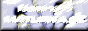 Nominace MATURITA.CZ - nejlep�� t��dn� web